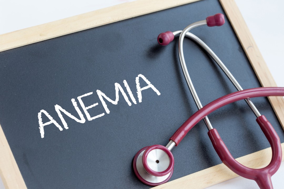 The Basic Things You Should Know About Anemia
